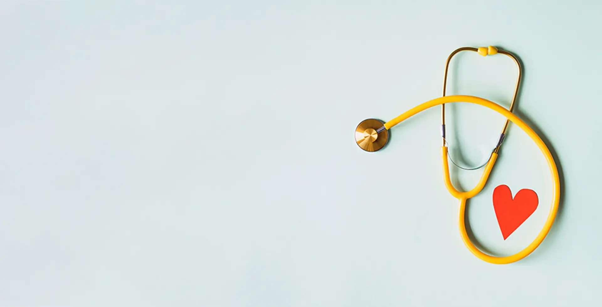 Banner 1
